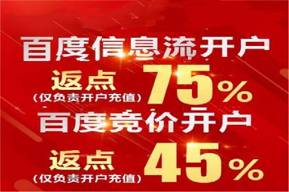 搜索引擎营销（SEM）竞价策略案例